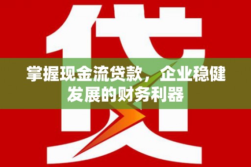 沧源掌握现金流贷款，企业稳健发展的财务利器