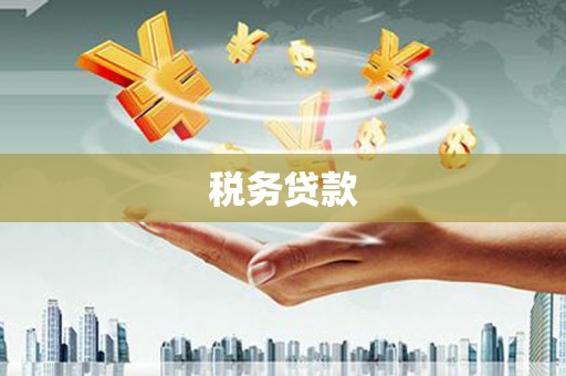 沧源税务贷款