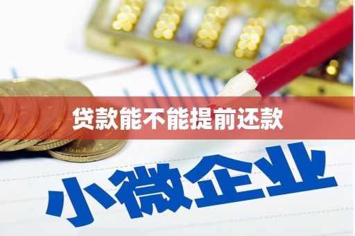 沧源贷款能不能提前还款