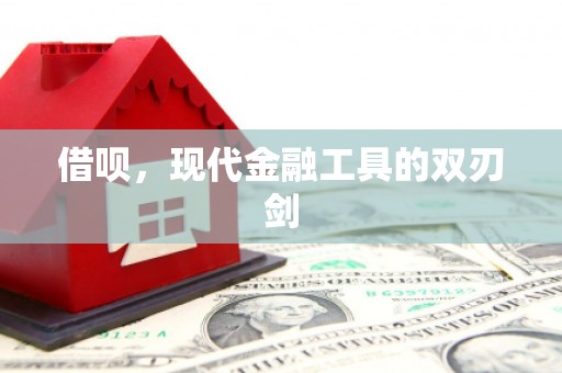 沧源借呗，现代金融工具的双刃剑