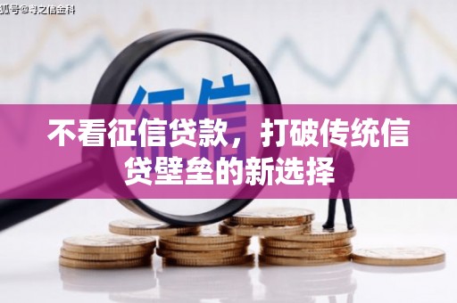 沧源不看征信贷款，打破传统信贷壁垒的新选择