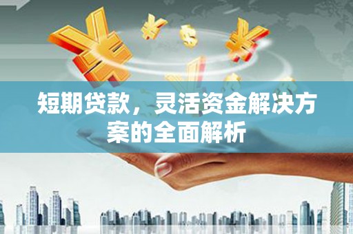 沧源短期贷款，灵活资金解决方案的全面解析