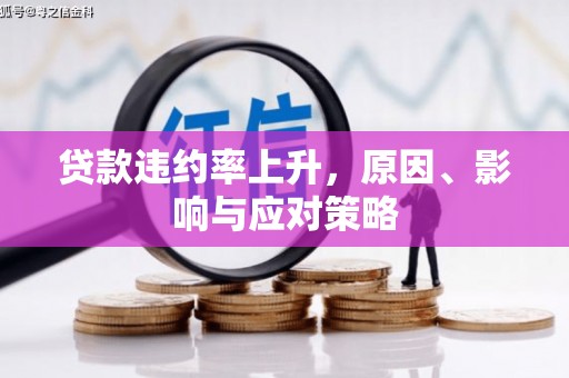 沧源贷款违约率上升，原因、影响与应对策略