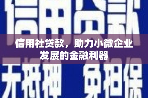 沧源信用社贷款，助力小微企业发展的金融利器