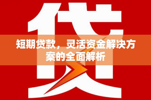 沧源短期贷款，灵活资金解决方案的全面解析