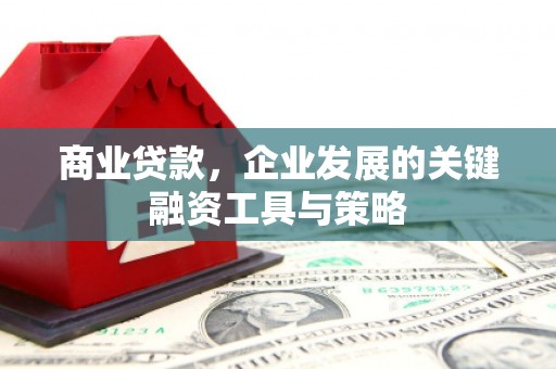 沧源商业贷款，企业发展的关键融资工具与策略