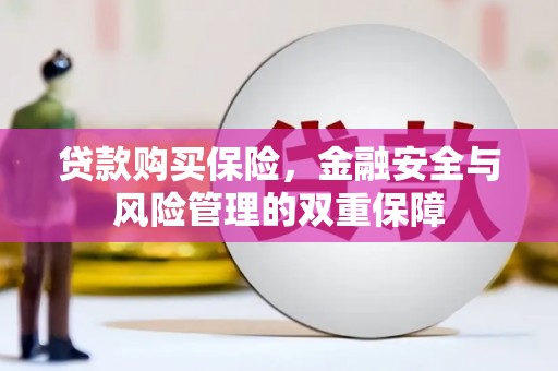沧源贷款购买保险，金融安全与风险管理的双重保障
