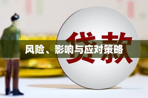 沧源风险、影响与应对策略