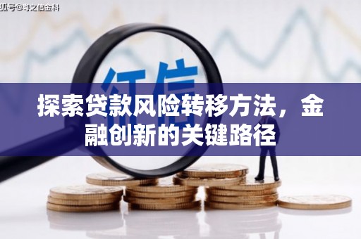 沧源探索贷款风险转移方法，金融创新的关键路径