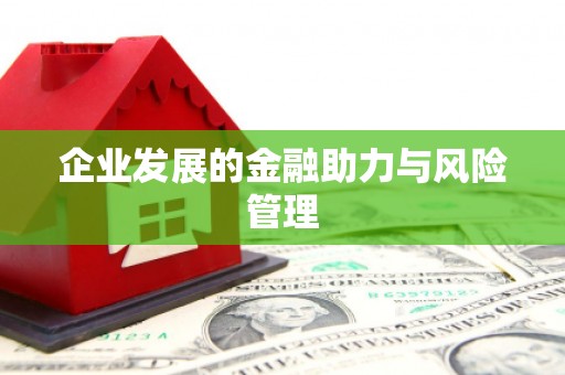 沧源企业发展的金融助力与风险管理