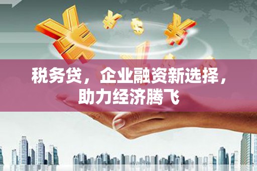 沧源税务贷，企业融资新选择，助力经济腾飞