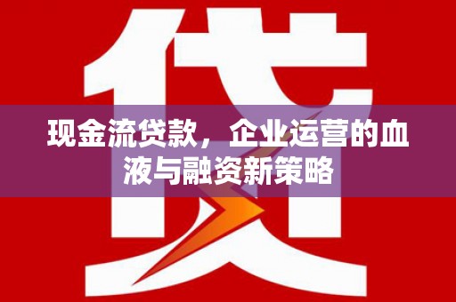 沧源现金流贷款，企业运营的血液与融资新策略