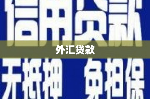 沧源外汇贷款