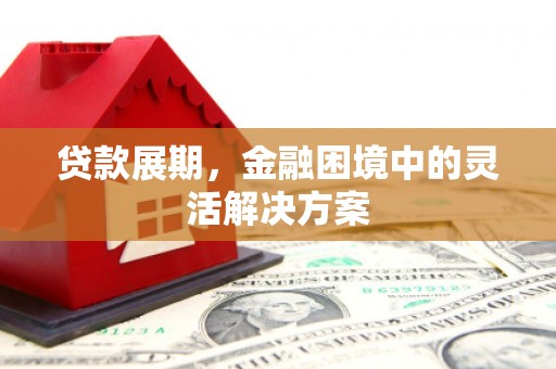 沧源贷款展期，金融困境中的灵活解决方案