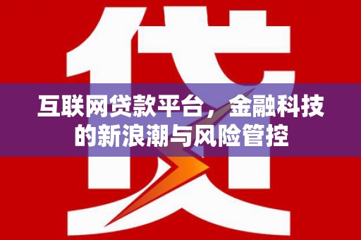 沧源互联网贷款平台，金融科技的新浪潮与风险管控