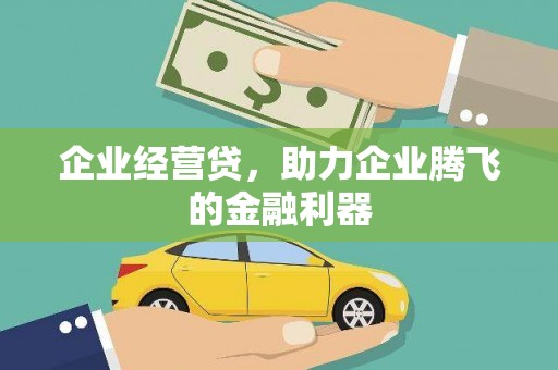 沧源企业经营贷，助力企业腾飞的金融利器