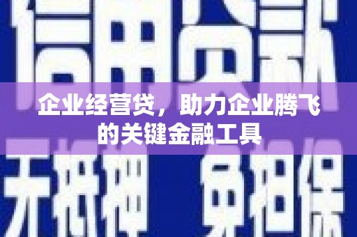 沧源企业经营贷，助力企业腾飞的关键金融工具
