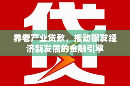 沧源养老产业贷款，推动银发经济新发展的金融引擎