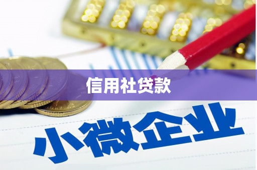 沧源信用社贷款