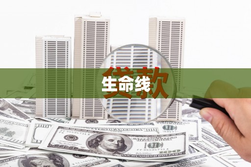 沧源生命线