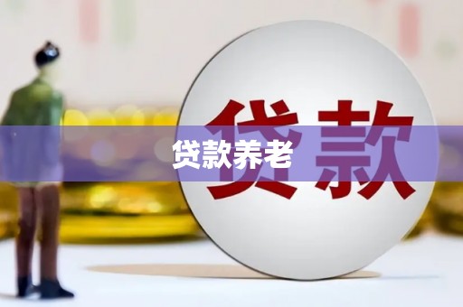 沧源贷款养老