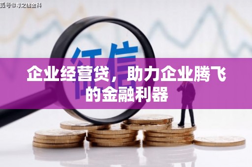 沧源企业经营贷，助力企业腾飞的金融利器