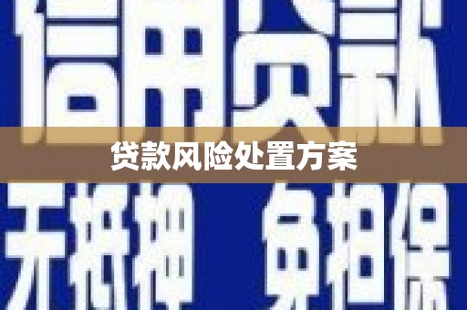 沧源贷款风险处置方案