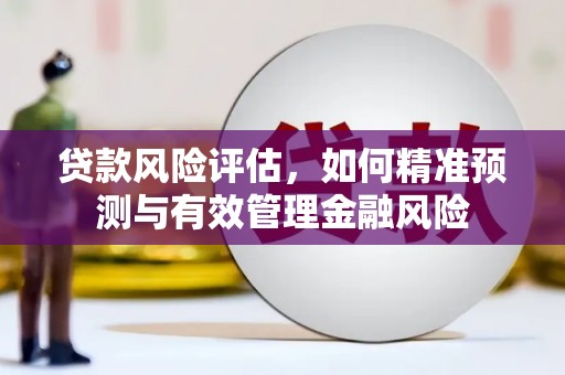 沧源贷款风险评估，如何精准预测与有效管理金融风险