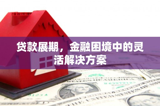 沧源贷款展期，金融困境中的灵活解决方案