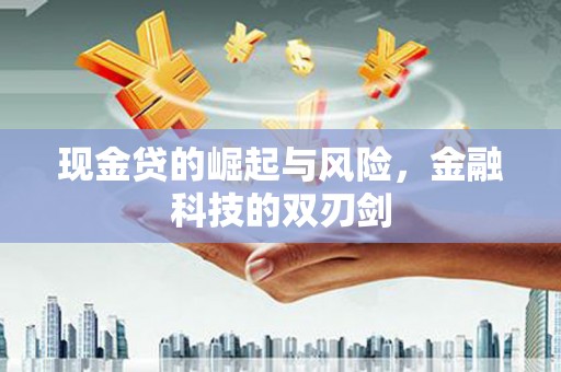 沧源现金贷的崛起与风险，金融科技的双刃剑
