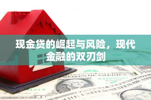 沧源现金贷的崛起与风险，现代金融的双刃剑