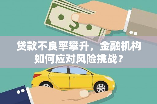 沧源贷款不良率攀升，金融机构如何应对风险挑战？