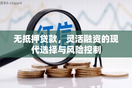 沧源无抵押贷款，灵活融资的现代选择与风险控制