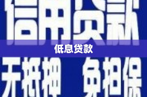 沧源低息贷款