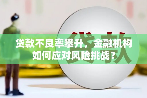 沧源贷款不良率攀升，金融机构如何应对风险挑战？
