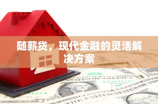 沧源随薪贷，现代金融的灵活解决方案