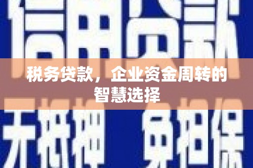 沧源税务贷款，企业资金周转的智慧选择