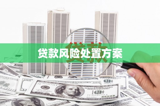 沧源贷款风险处置方案