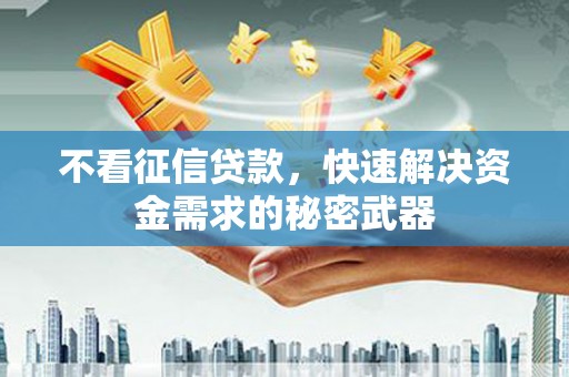 沧源不看征信贷款，快速解决资金需求的秘密武器