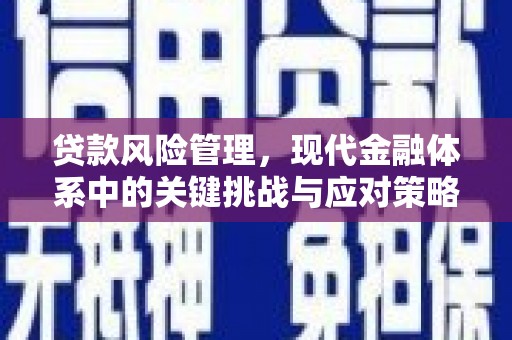 沧源贷款风险管理，现代金融体系中的关键挑战与应对策略