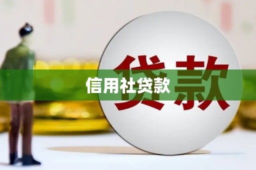 沧源信用社贷款