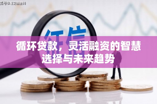 沧源循环贷款，灵活融资的智慧选择与未来趋势