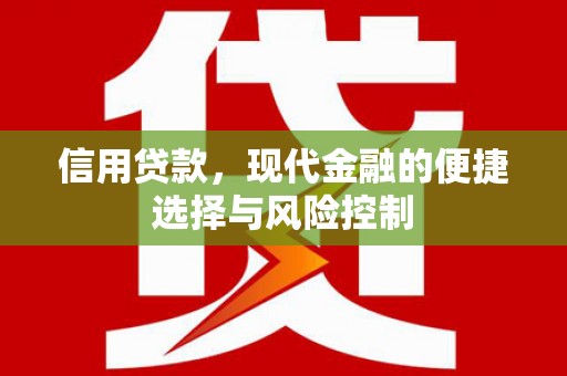 沧源信用贷款，现代金融的便捷选择与风险控制