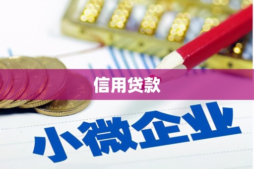沧源信用贷款