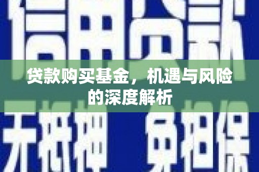 沧源贷款购买基金，机遇与风险的深度解析