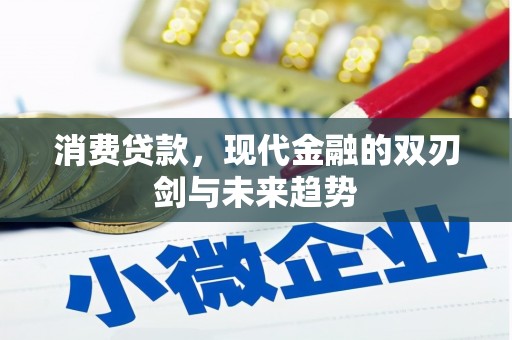 沧源消费贷款，现代金融的双刃剑与未来趋势