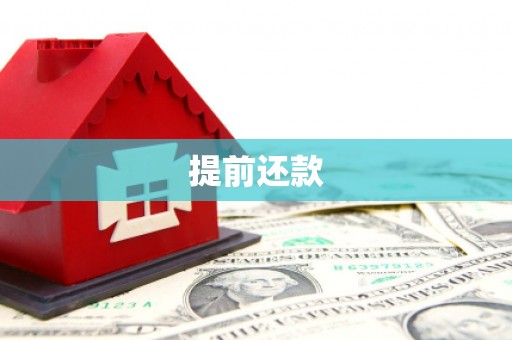 沧源提前还款