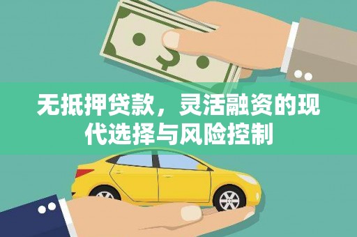 沧源无抵押贷款，灵活融资的现代选择与风险控制