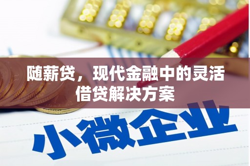 沧源随薪贷，现代金融中的灵活借贷解决方案