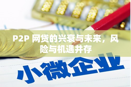 沧源P2P 网贷的兴衰与未来，风险与机遇并存